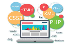 Web Development Company in Amritsar